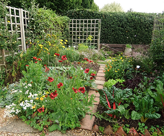 jardin de flores en el patio